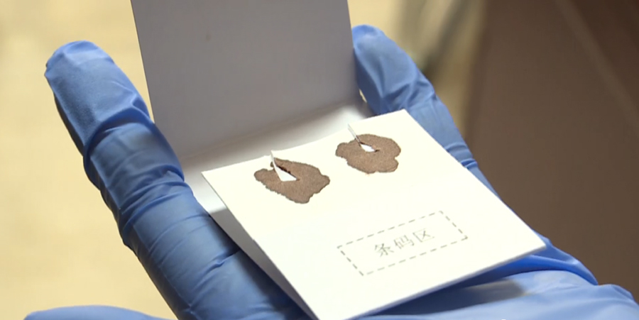 河池亲子鉴定到哪里,河池办理亲子鉴定要多少钱