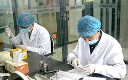 河池隐私DNA亲子鉴定费用是多少钱，河池隐私亲子鉴定的流程