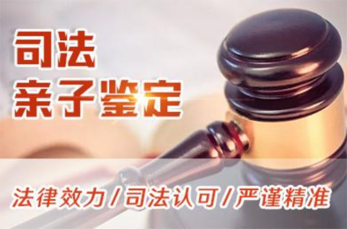 河池司法亲子鉴定如何做,河池司法亲子鉴定地址在哪里