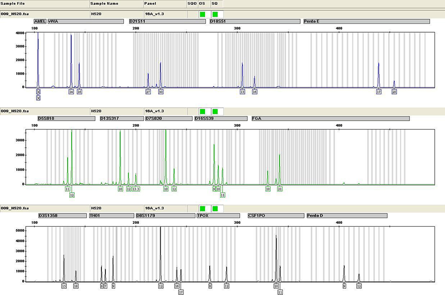 河池专业的司法DNA亲子鉴定机构去哪找,河池司法亲子鉴定要多少钱